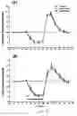 Fig. 14 - Uridine administration improves phosphatide synthesis, synaptic transmission and cogntive function