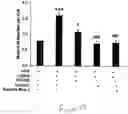 Fig. 20 - Uridine administration improves phosphatide synthesis, synaptic transmission and cogntive function
