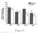 Fig. 22 - Uridine administration improves phosphatide synthesis, synaptic transmission and cogntive function