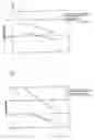 Fig. 24 - Uridine administration improves phosphatide synthesis, synaptic transmission and cogntive function
