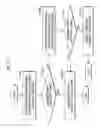 Fig. 16 - Encrypted-content recording medium, playback apparatus, and playback method
