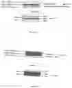 Fig. 16 - Medicament storage and delivery devices