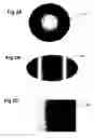 Fig. 03 - Method of rendering graphical objects