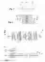 Fig. 02 - Packet transmission scheduling in a multi-carrier communications system