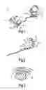 Fig. 02 - Signal transmission system