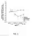 Fig. 08 - Methods for detecting Corpuscles of Stannius protein stanniocalcin