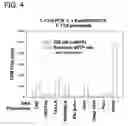 Fig. 05 - Recombinant DNA processes using a dNTP mixture containing modified nucleotides