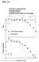 Fig. 12 - Recombinant DNA processes using a dNTP mixture containing modified nucleotides