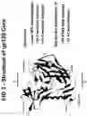 Fig. 04 - Peptides that bind to broadly neutralizing anti-HIV antibody-structure of 4E10 Fab fragment complex. uses thereof, compositions therefrom