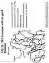 Fig. 33 - Peptides that bind to broadly neutralizing anti-HIV antibody-structure of 4E10 Fab fragment complex. uses thereof, compositions therefrom
