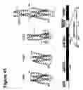 Fig. 46 - Peptides that bind to broadly neutralizing anti-HIV antibody-structure of 4E10 Fab fragment complex. uses thereof, compositions therefrom
