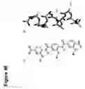 Fig. 47 - Peptides that bind to broadly neutralizing anti-HIV antibody-structure of 4E10 Fab fragment complex. uses thereof, compositions therefrom