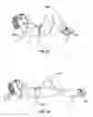 Fig. 08 - Apparatus and method for exercise using an omnidirectional roller