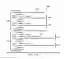 Fig. 12 - Method and apparatus for splitting and merging request and response data at runtime