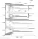 Fig. 13 - Method and apparatus for splitting and merging request and response data at runtime