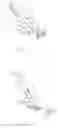 Fig. 02 - Blister knife