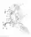 Fig. 02 - Motorcycle handle bar