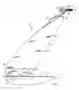 Fig. 02 - Anchor comprising a shank