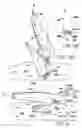 Fig. 09 - Anchor comprising a shank