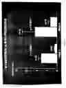 Fig. 06 - Methods, devices and formulations for targeted endobronchial therapy