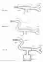 Fig. 22 - Methods, devices and formulations for targeted endobronchial therapy