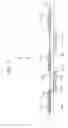 Fig. 16 - Print head