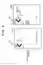 Fig. 10 - Method and apparatus for image forming