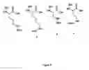 Fig. 05 - Methods of screening agents, conjugates or conjugate moieties for transport by a PEPT2 transporter