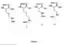 Fig. 07 - Methods of screening agents, conjugates or conjugate moieties for transport by a PEPT2 transporter