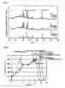 Fig. 02 - Dielectric ceramic material and multilayer ceramic substrate