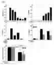 Fig. 02 - Methods of inducing IL-10 production