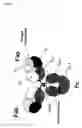 Fig. 15 - Polypeptides including modified constant regions