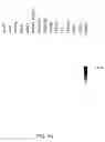 Fig. 02 - Growth differentiation factor-8 nucleic acid and polypeptide from aquatic species, and transgenic aquatic species
