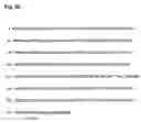 Fig. 08 - Repressor-mediated tissue-specific gene expression in plants