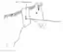 Fig. 01 - Don't shoot! hunter orange safety collars for equines