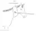 Fig. 02 - Don't shoot! hunter orange safety collars for equines