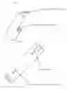Fig. 03 - Don't shoot! hunter orange safety collars for equines