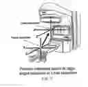 Fig. 06 - Treatment target positioning system