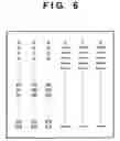 Fig. 07 - Generating a look-up table for use in color processing