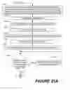 Fig. 109 - Methods of performing medical procedures that promote bone growth, method of making compositions that promote bone growth, and apparatus for use in such methods