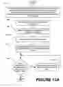 Fig. 41 - Methods of performing medical procedures that promote bone growth, method of making compositions that promote bone growth, and apparatus for use in such methods