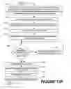 Fig. 46 - Methods of performing medical procedures that promote bone growth, method of making compositions that promote bone growth, and apparatus for use in such methods