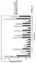Fig. 07 - Tissue transglutaminase