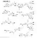 Fig. 03 - Bacterial small-molecule three-hybrid system