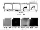 Fig. 06 - Self-renewing pluripotent hepatic stem cells