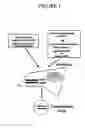 Fig. 02 - Recombinant negative strand virus RNA expression systems and vaccines