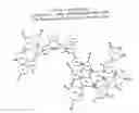 Fig. 02 - Intermediates for the hemisynthesis of taxanes and preparation processes therefor