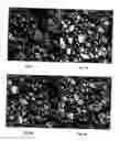 Fig. 02 - Process and apparatus for producing rigid polyurethane foam