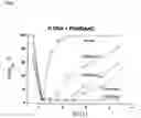 Fig. 07 - Isolation of nucleic acids using a polycationic polymer as precipitation agent