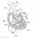 Fig. 02 - Devices, systems, and methods for reshaping a heart valve annulus, including the use of a bridge implant